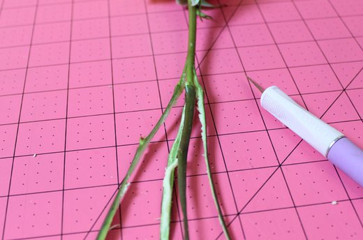 Cut the Stem Halves into Quarters