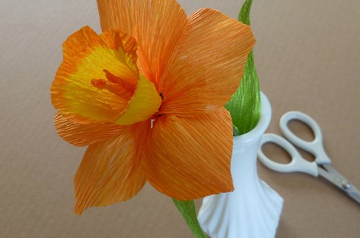 Daffodil