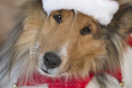 Naughty or Nice?