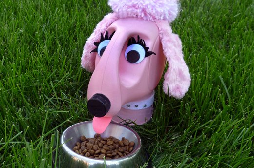 Penny Poodle
