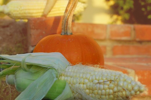 $25: Pick up Your Ears (Of Corn)