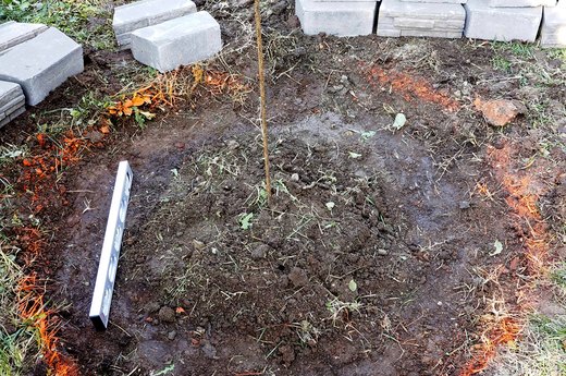 Remove Sod and Level
