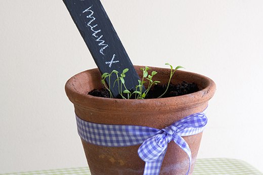 Decorated Flower Pot
