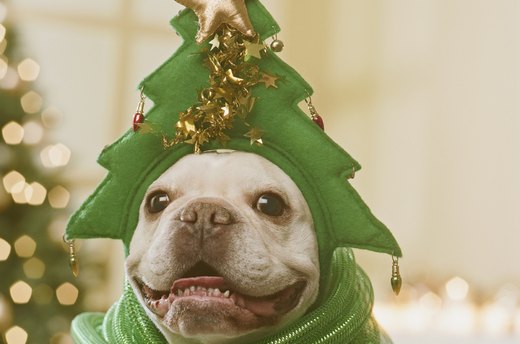 A Tree-Lined Barker