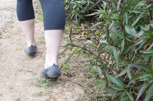 Walking and Fresh Air