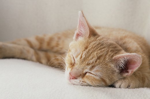 Sleeping