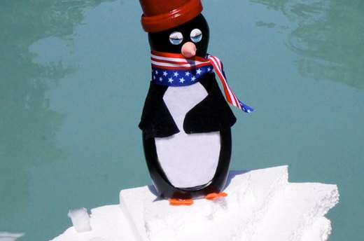 Polly Penguin