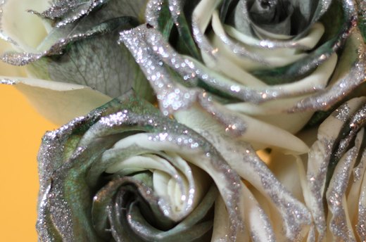 Tuxedo Roses with Glitter
