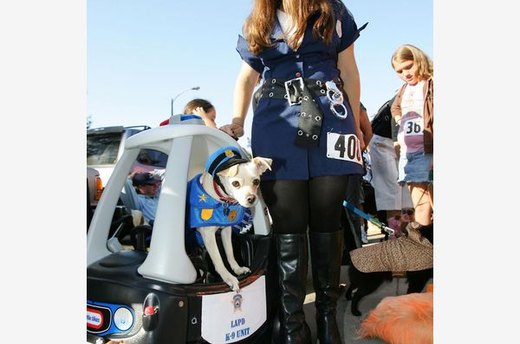 K-9 Partner
