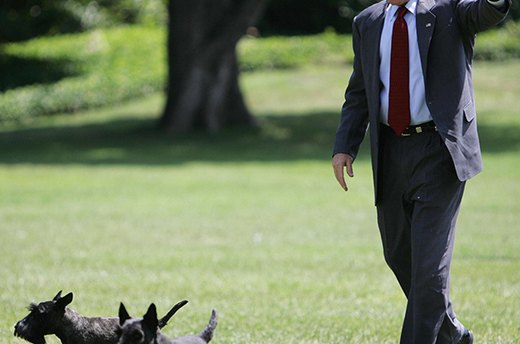 Barney and Miss Beazley, George W. Bush's Scottish Terriers