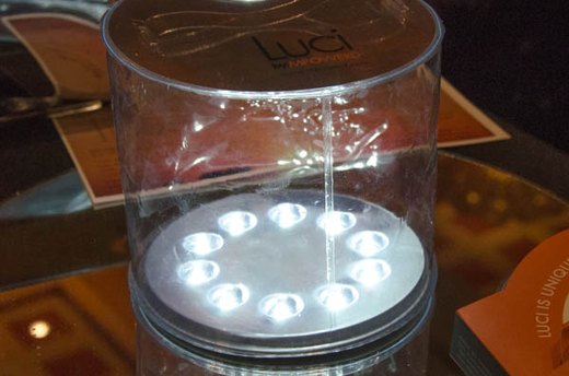 Luci