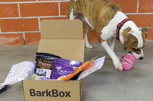 BarkBox