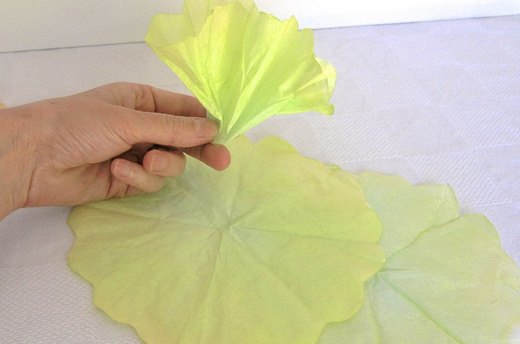 Make Flower Shape