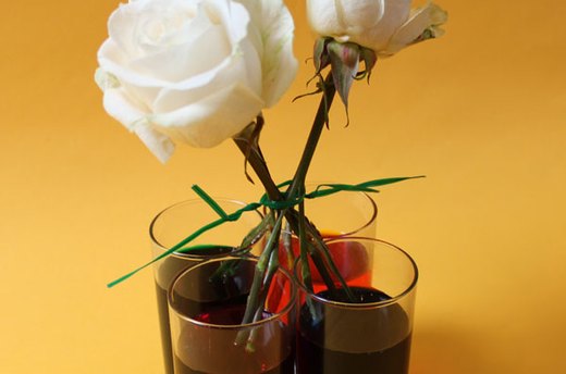 Insert the Stems in the Food Coloring