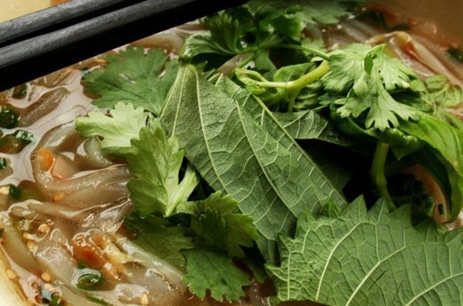10 Most Delectable Culinary Trips