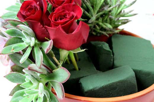 Add the Roses