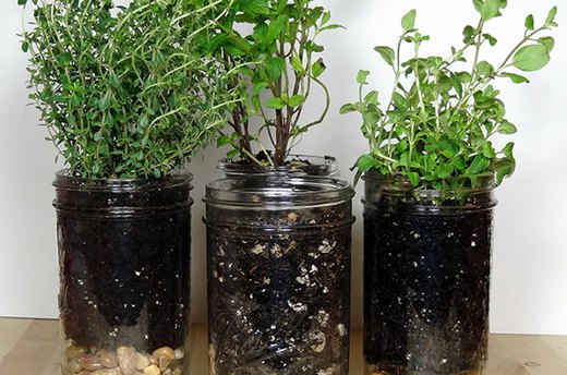Mason Jar Herb Planters