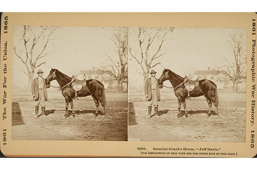 Jeff Davis, Ulysses S. Grant's Horse