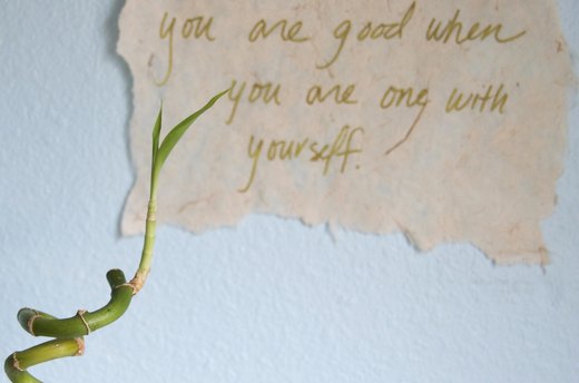 Words of Wisdom and Books