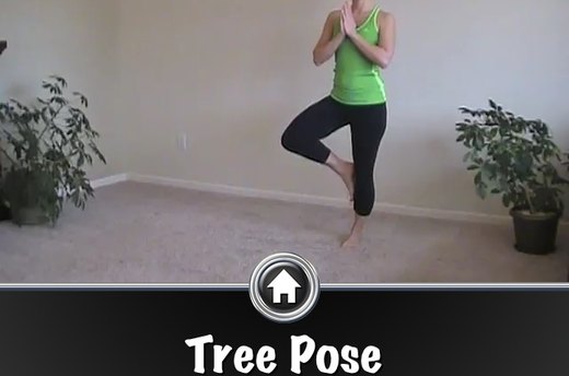 Simply Yoga ($2.99)