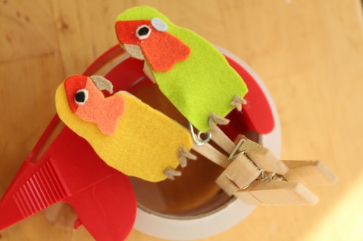 Prop Open the Clothespins as the Birds Dry