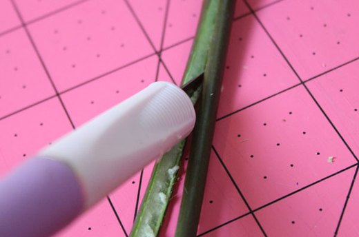 Splice the Rose Stem in Half