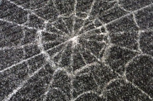 Draw the Web
