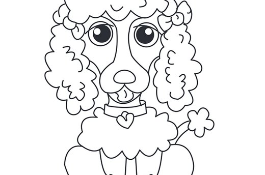 Poodle Template