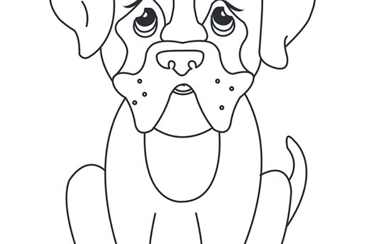 Boxer Template