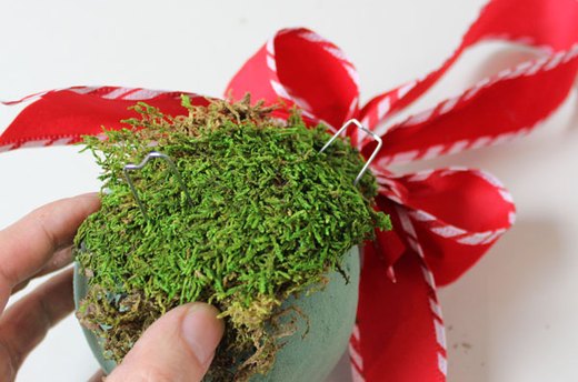 Cover the Ball with Moss