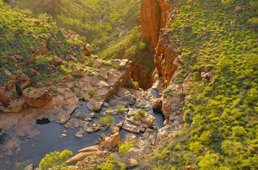 Experience a Walkabout in Australia