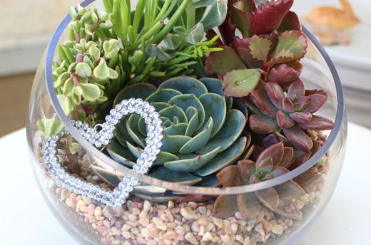 Create Your Own Stunning Succulent Terrarium
