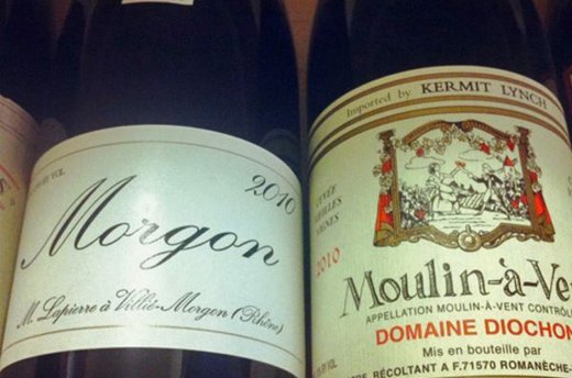 Gamay: The Friendly Party Guest