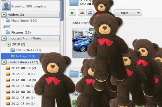 Picasa Bear Attack!