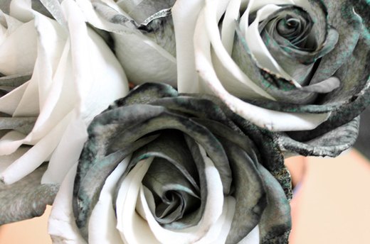 New Year's Tuxedo Roses