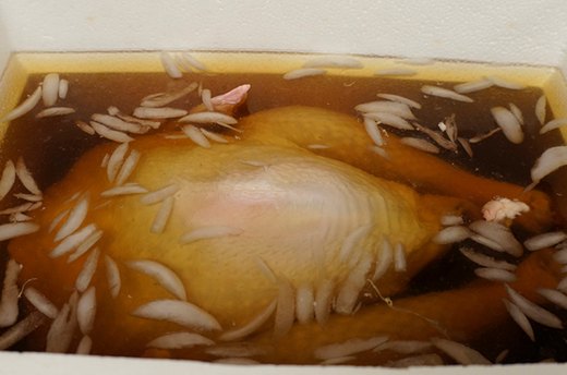 Brine the Turkey