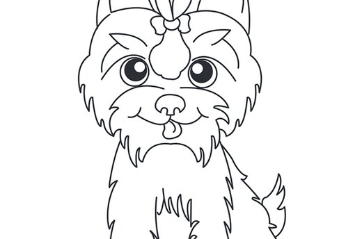 Yorkie Template
