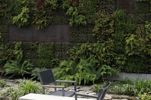 Shady Little Garden