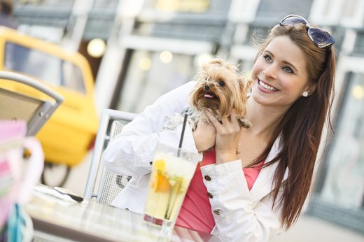 Visit a Dog-Friendly Restaurant