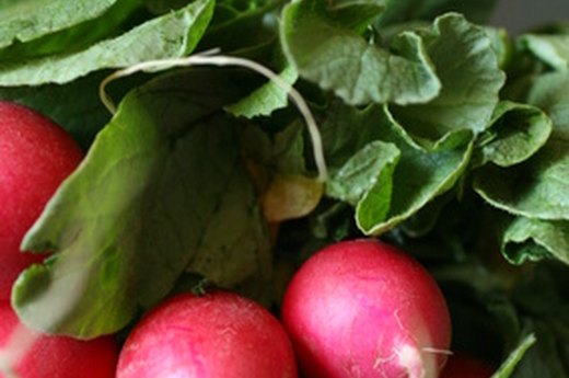 Radishes