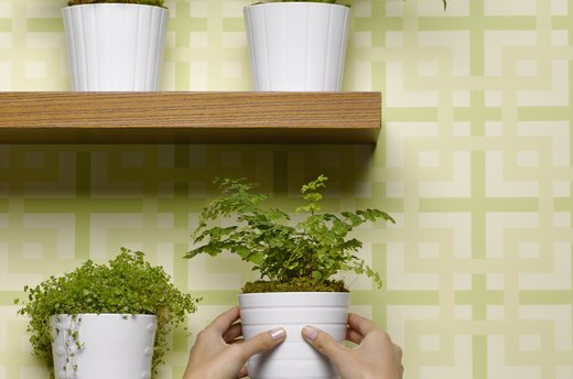 Removable Wallpaper