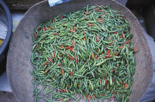 Chile Peppers