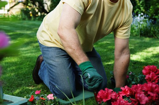 Gardening