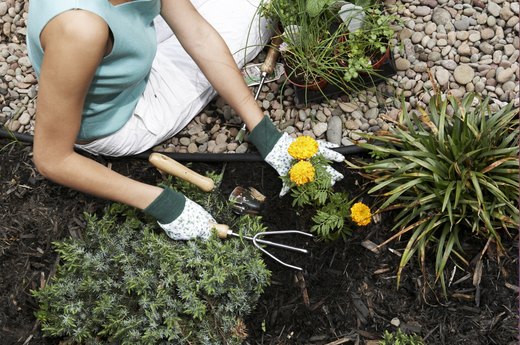 Plant the Garden