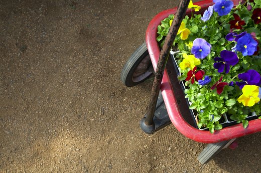 Spring Gardening Guide