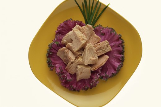Fish Food