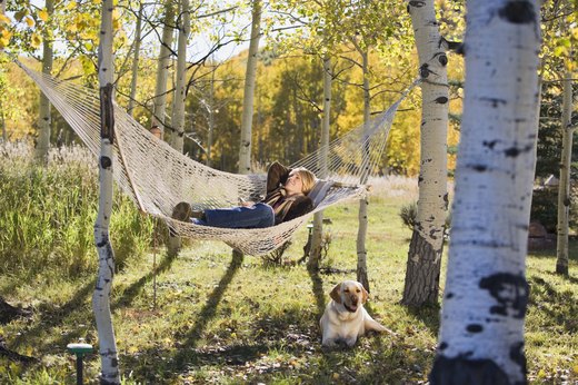 Relaxing and Thinking