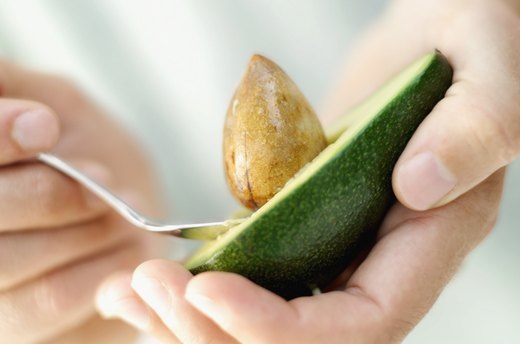 Avocado