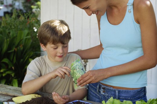 Early Spring: Start Your Seeds