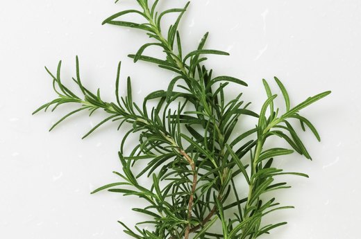 Rosemary